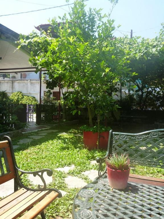 Helena Apartments Paralia Panteleimonos Exterior foto