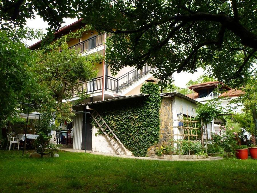 Helena Apartments Paralia Panteleimonos Exterior foto